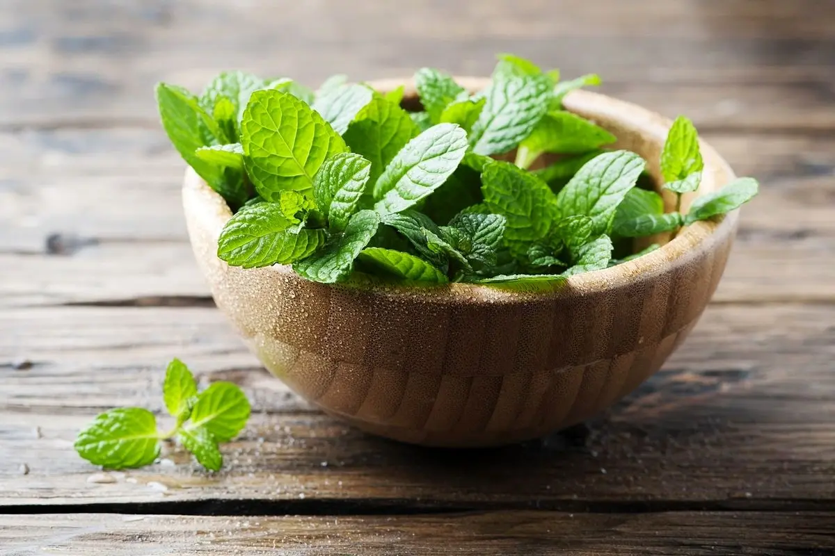 معرفی سبزیجات معطر برای خوش‌طعم‌ کردن غذا