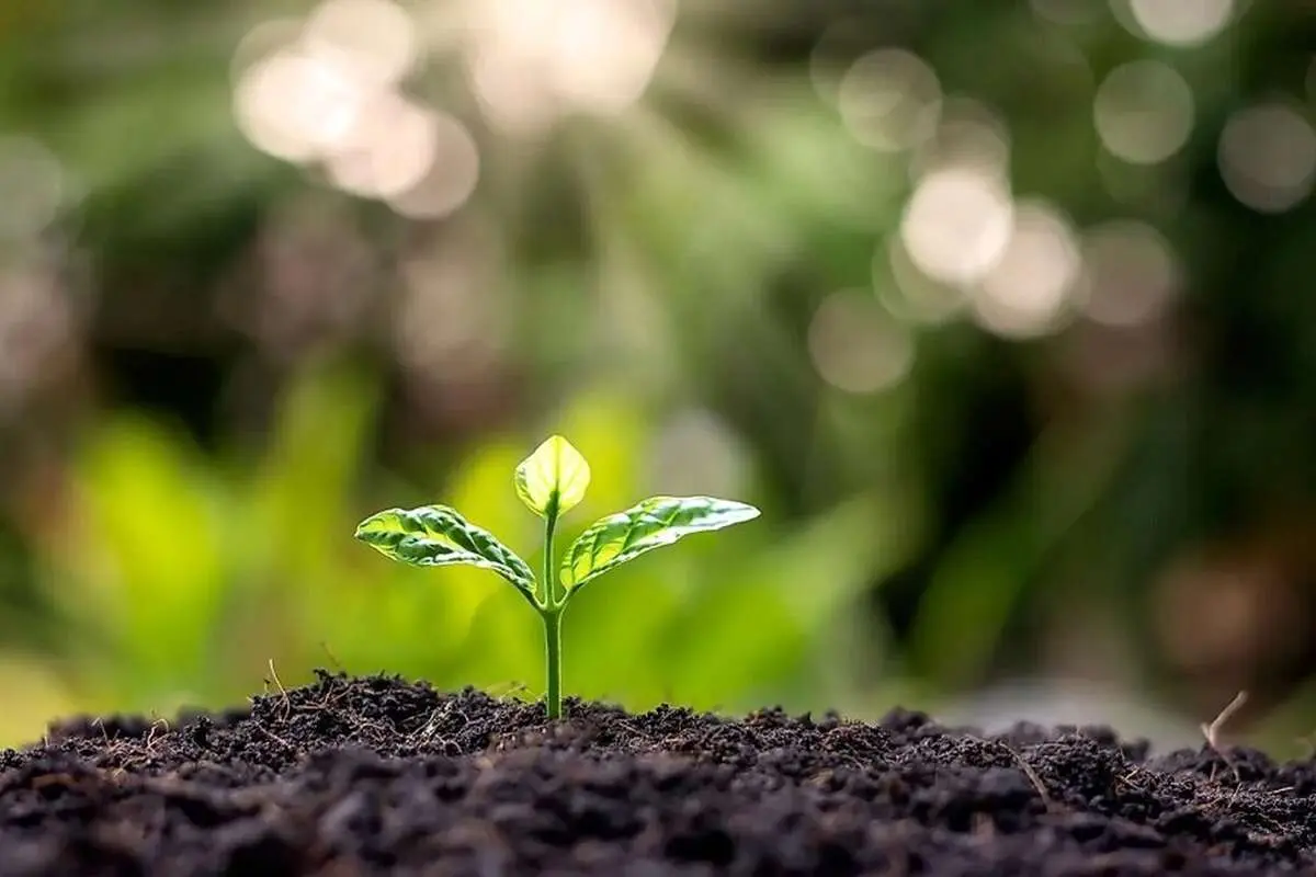 پاسخ جدید شیمیدانان به معمای چگونگی شکل گیری حیات در زمین