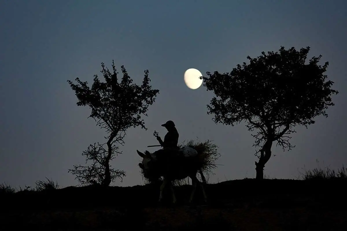 (تصاویر) دختر مزرعه