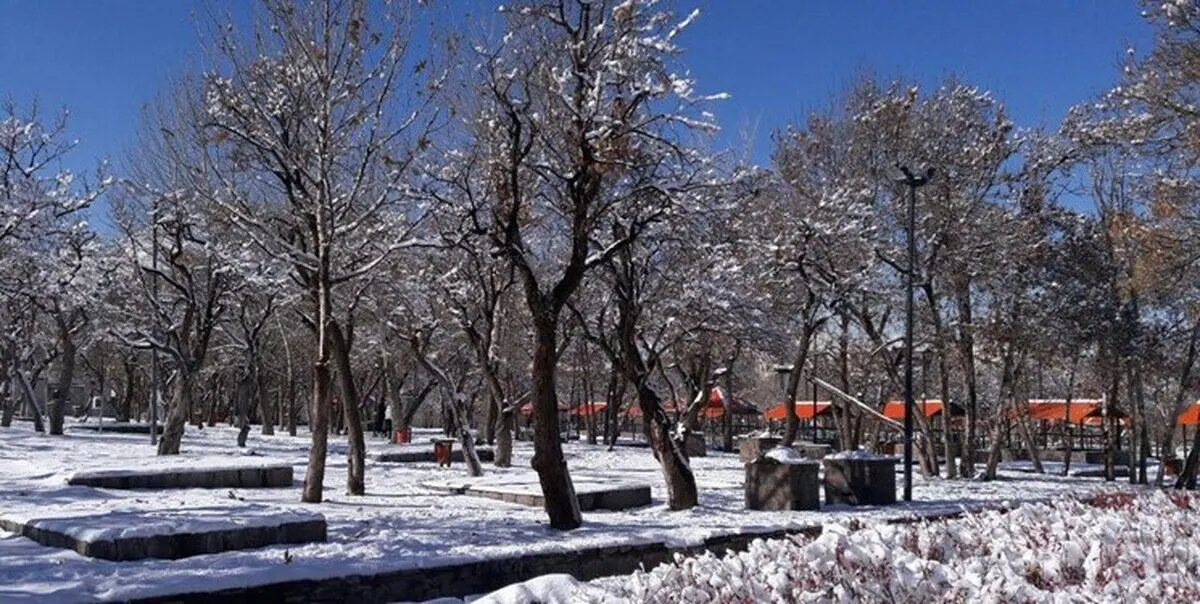 سرما و باران در نیمه شمالی کشور