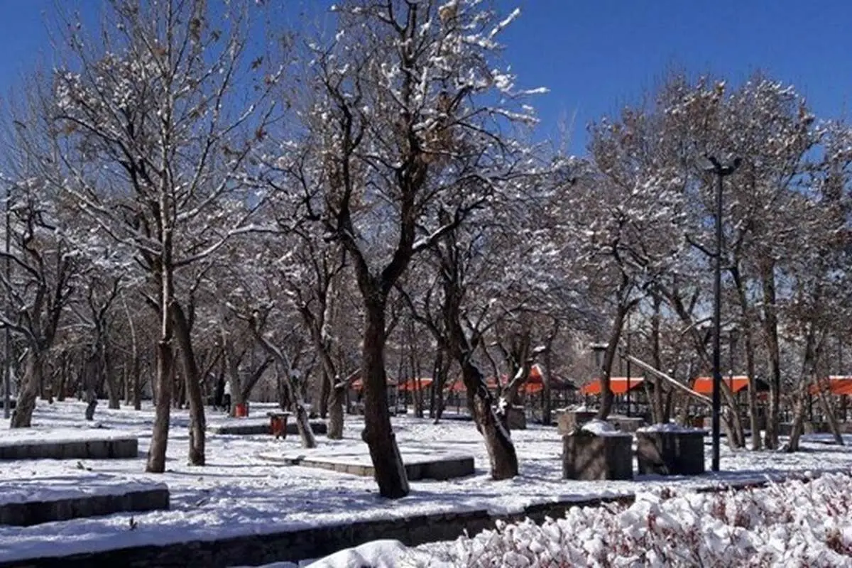 سرما و باران در نیمه شمالی کشور