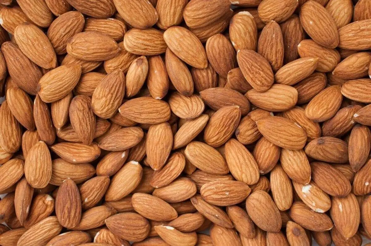 فواید بادام برای روده‌ها