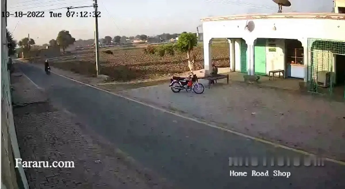 (ویدئو) پرنده غول پیکر باعث زمین خوردن موتورسوار شد