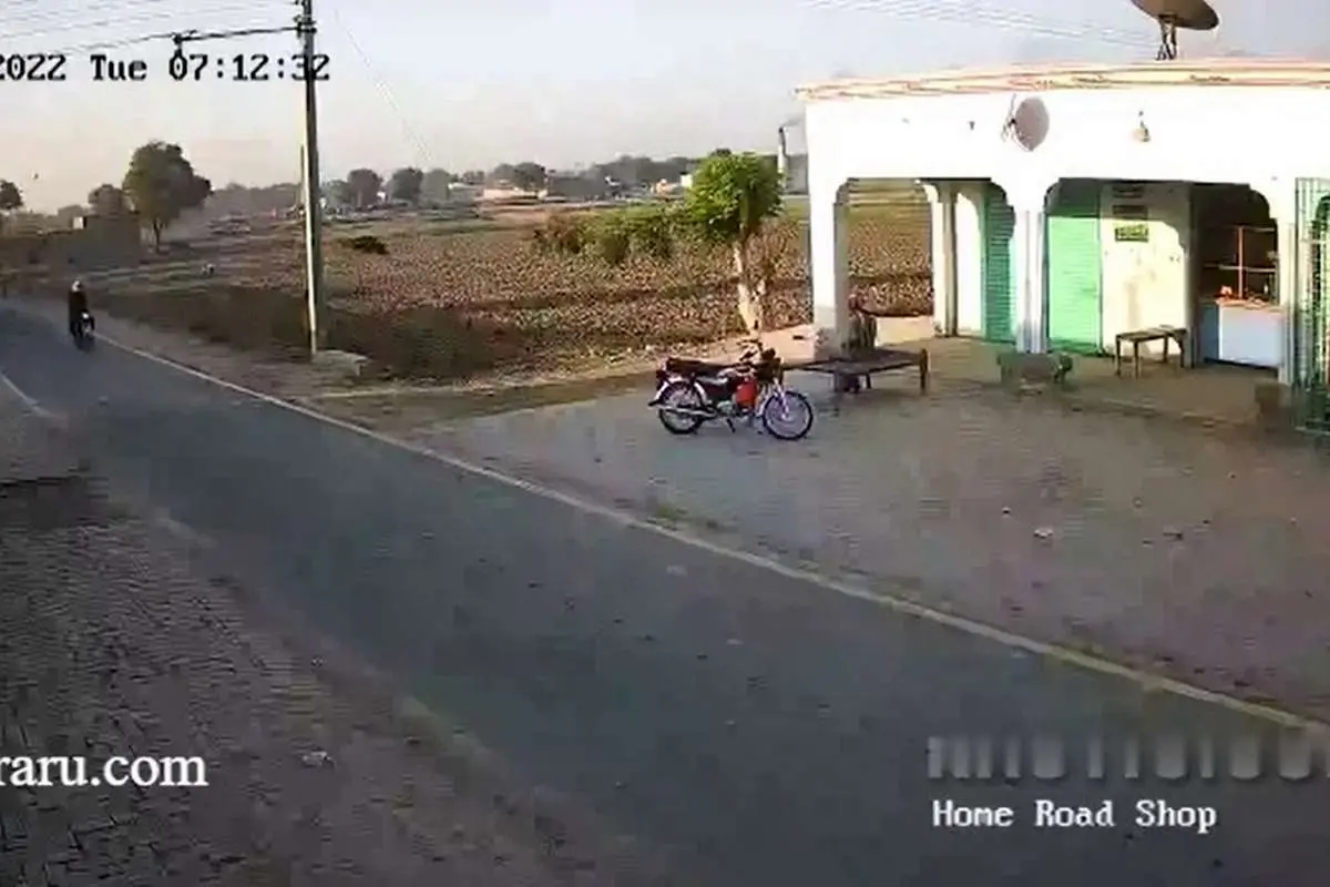(ویدئو) پرنده غول پیکر باعث زمین خوردن موتورسوار شد