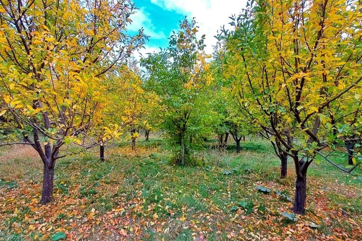 (تصاویر) پاییز روستای ارتش آباد