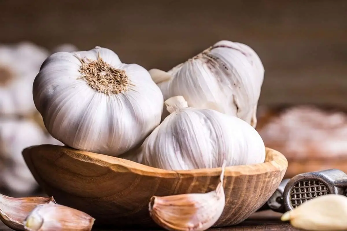 کاهش فشار خون با این گیاه معجزهآسا