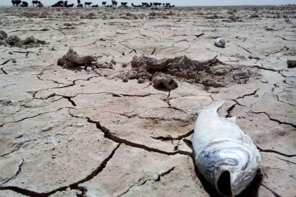 آمارهای تکان دهنده بحران آب