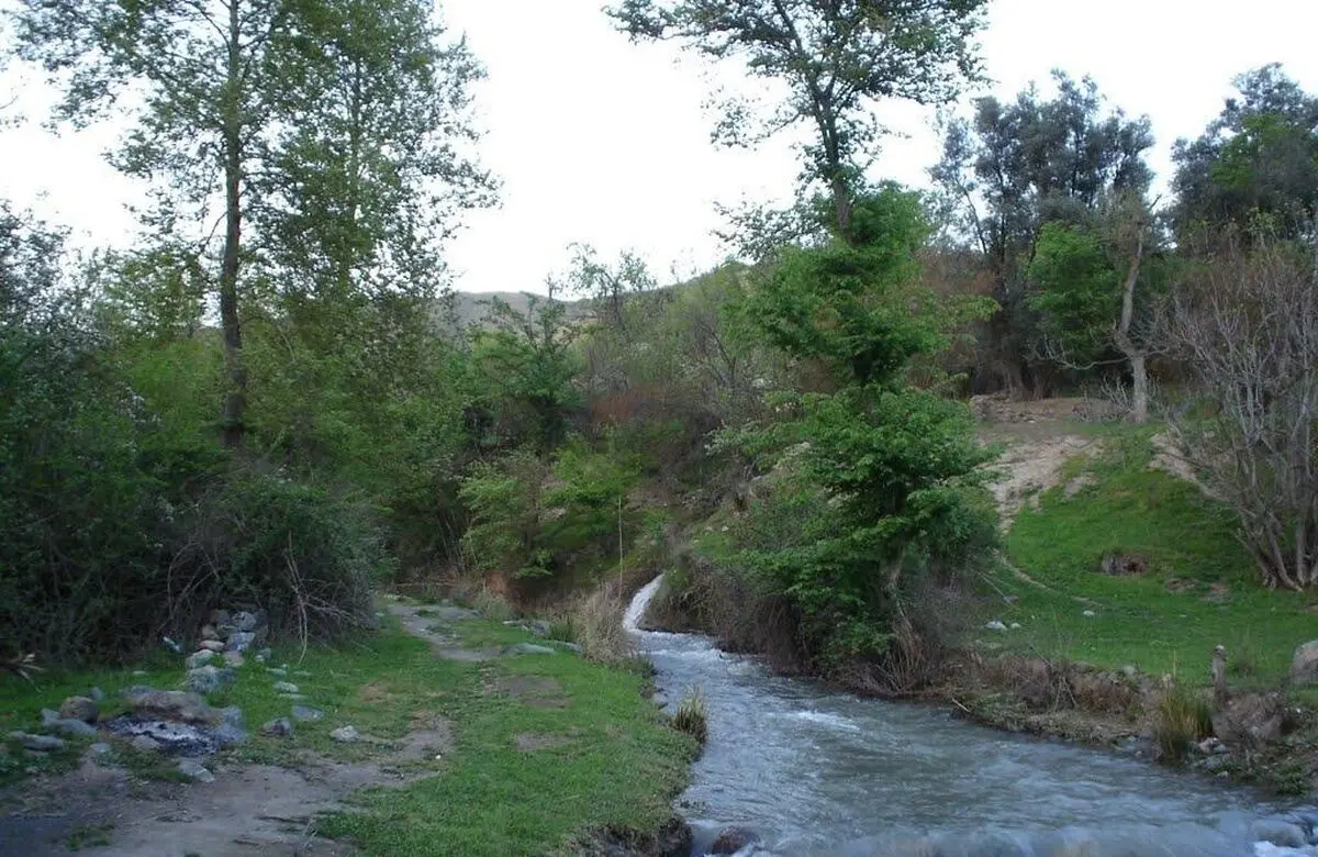 مدیری که می‌خواهد مالک شود؟