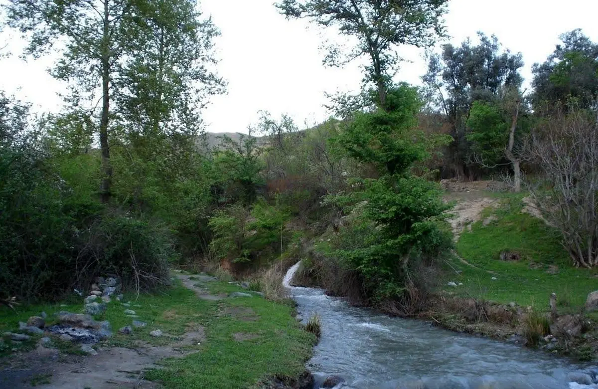 مدیری که می‌خواهد مالک شود؟