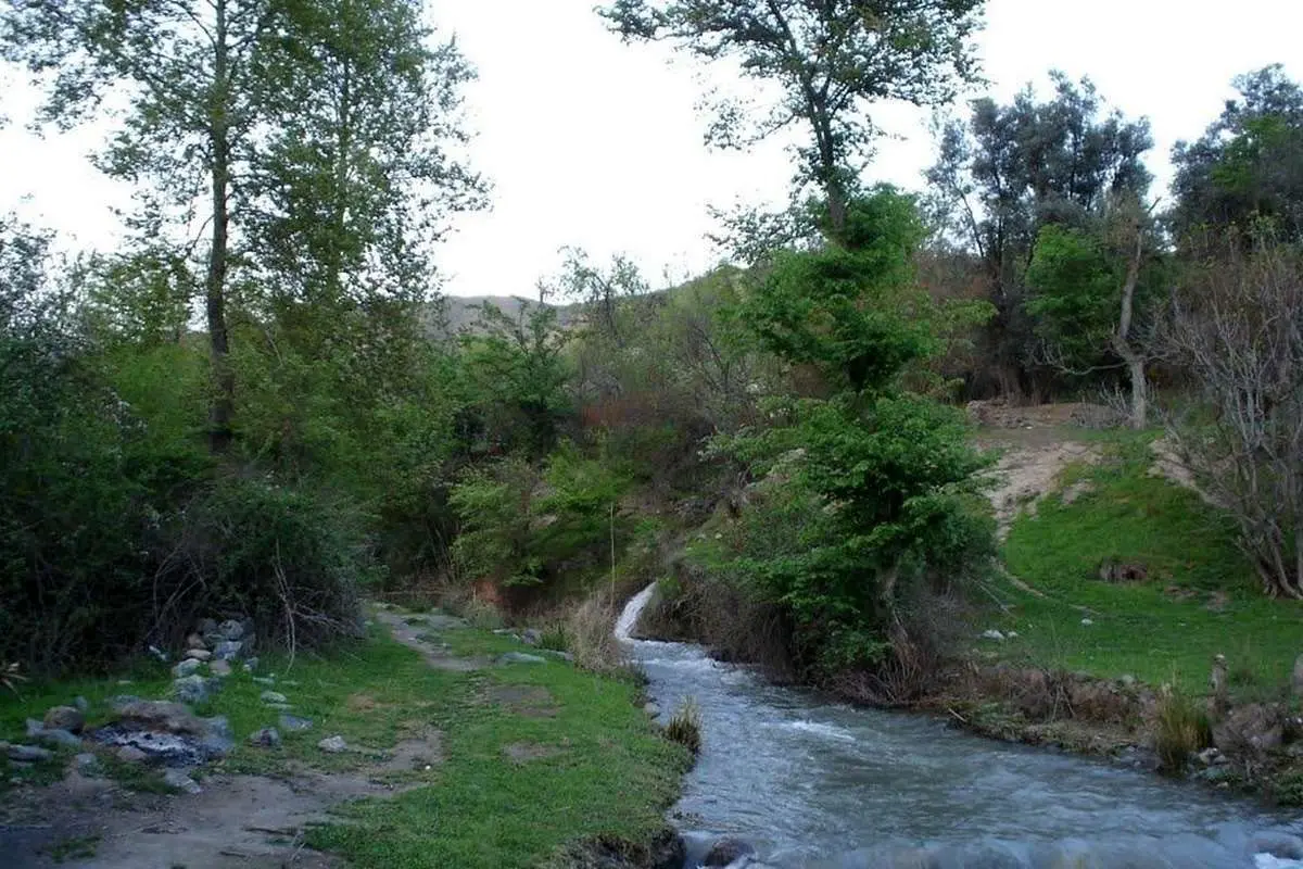مدیری که می‌خواهد مالک شود؟