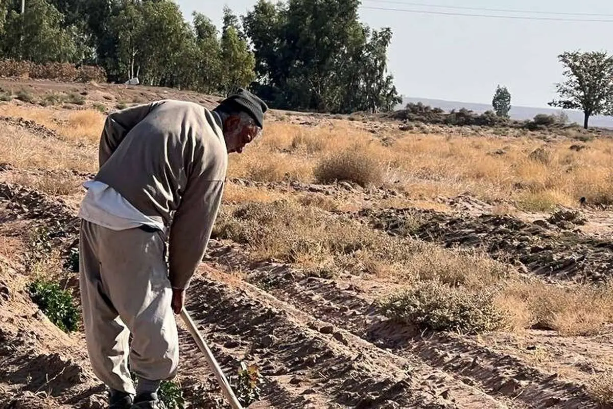 درباره عکسی از وزیر اسبق جهاد کشاورزی؛ حال بِنِه بیل و برآوَر کُلَنگ!