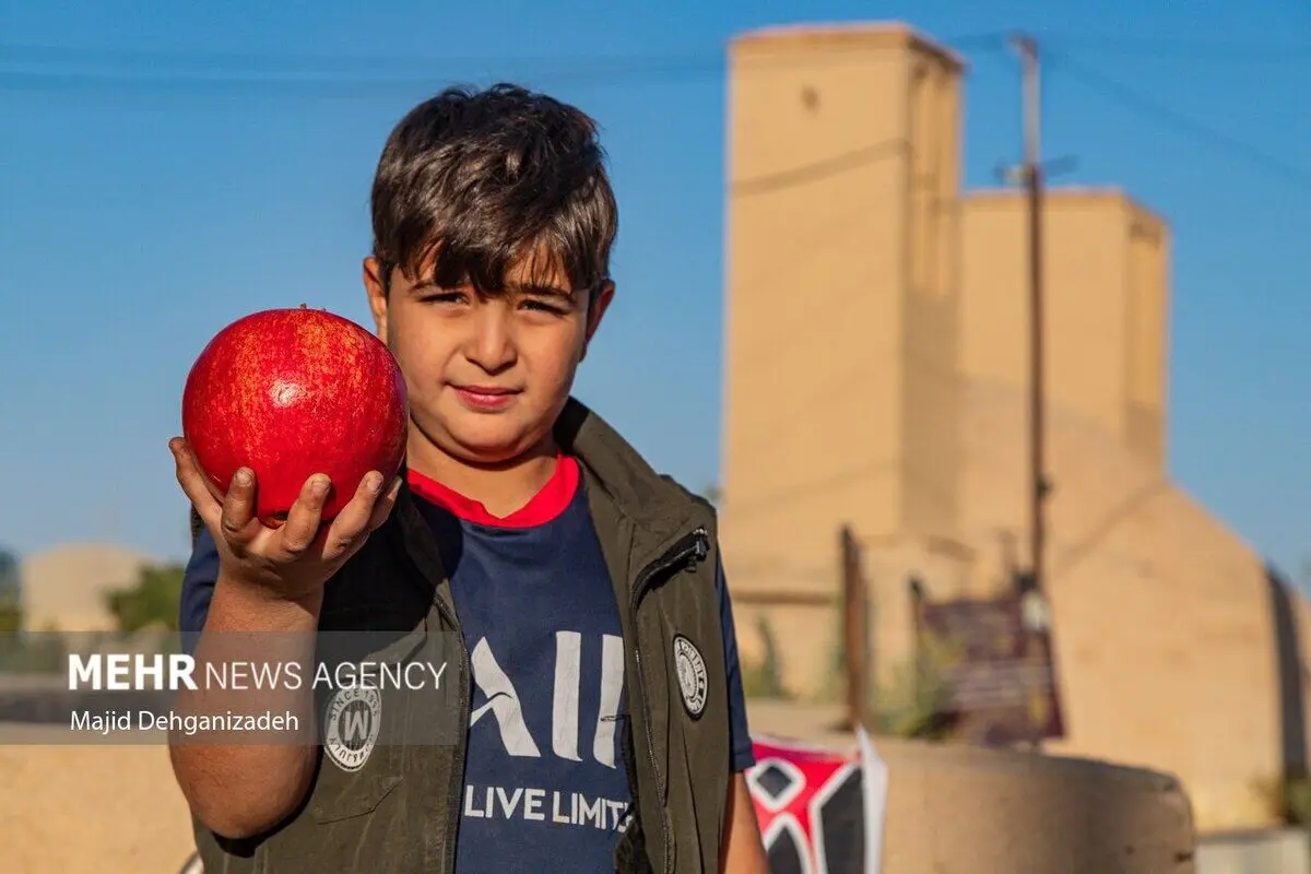 (تصاویر) برداشت انار در روستای تاریخی سریزد