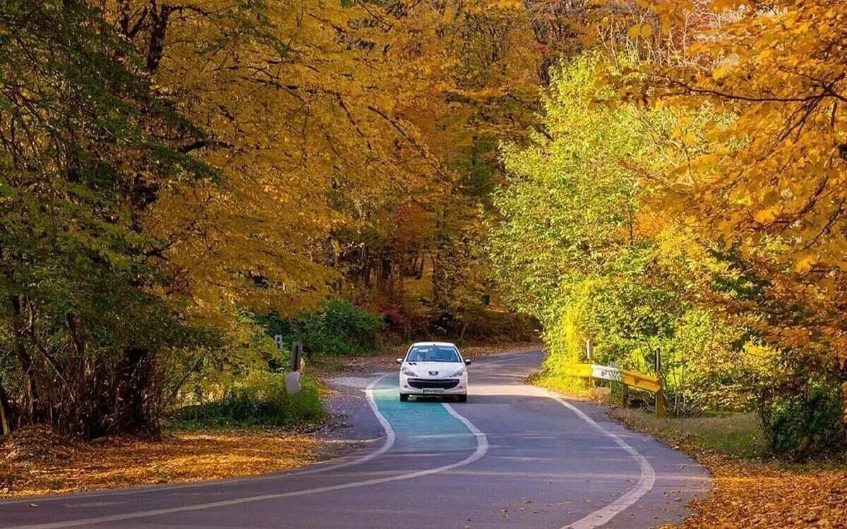 ۲۳ هکتار جنگل هیرکانی آزاد شد