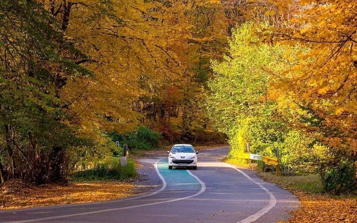 ۲۳ هکتار جنگل هیرکانی آزاد شد