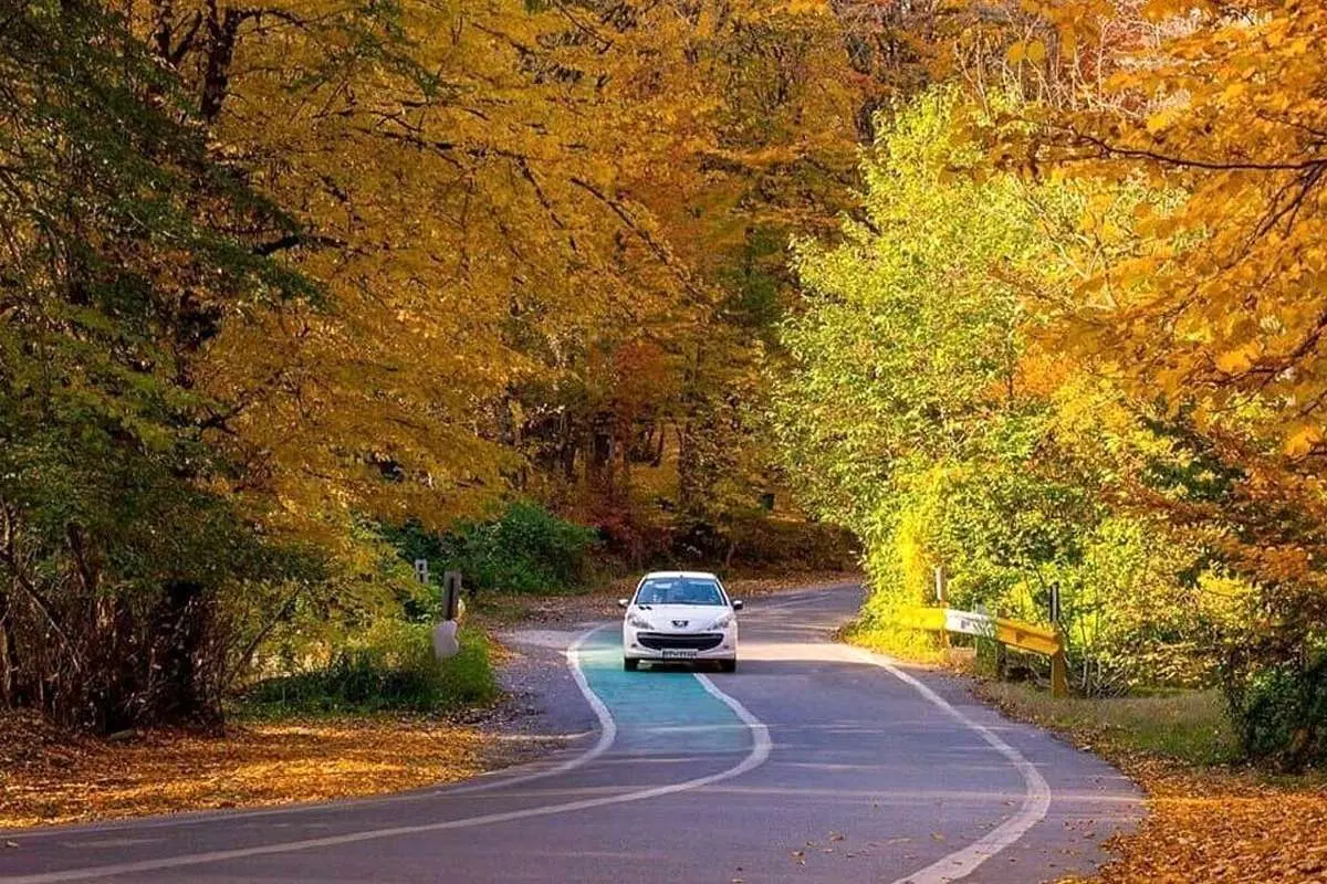 ۲۳ هکتار جنگل هیرکانی آزاد شد