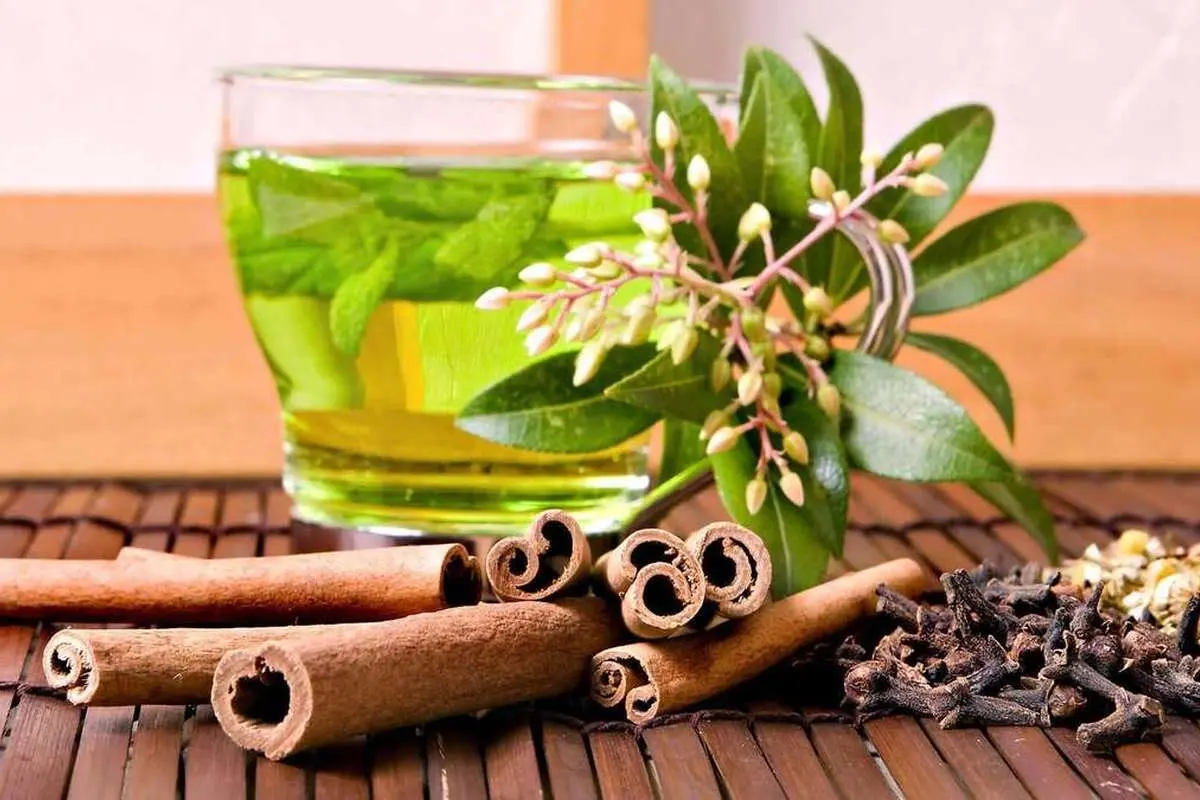 دمنوش چای سبز با زنجبیل، پونه و آویشن برای کاهش اثر سوء آلودگی هوا