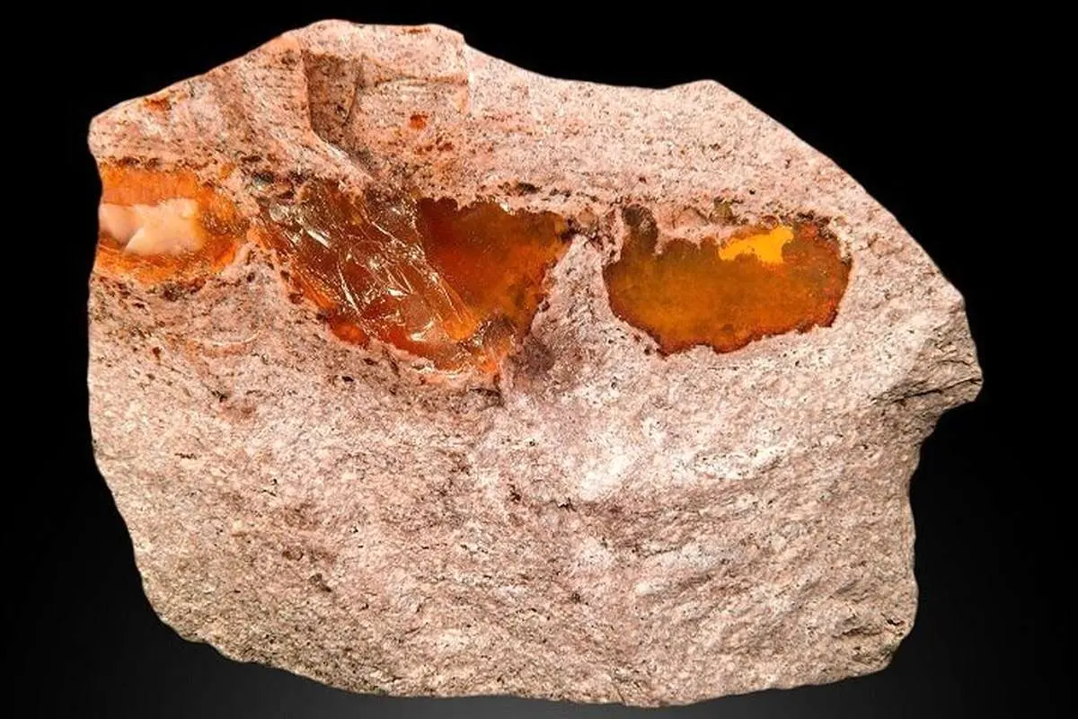 (ویدئو) نمایی خیرهکننده از سنگ قیمتی اُپال را ببینید