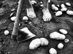 ادبیات پسا استعماری