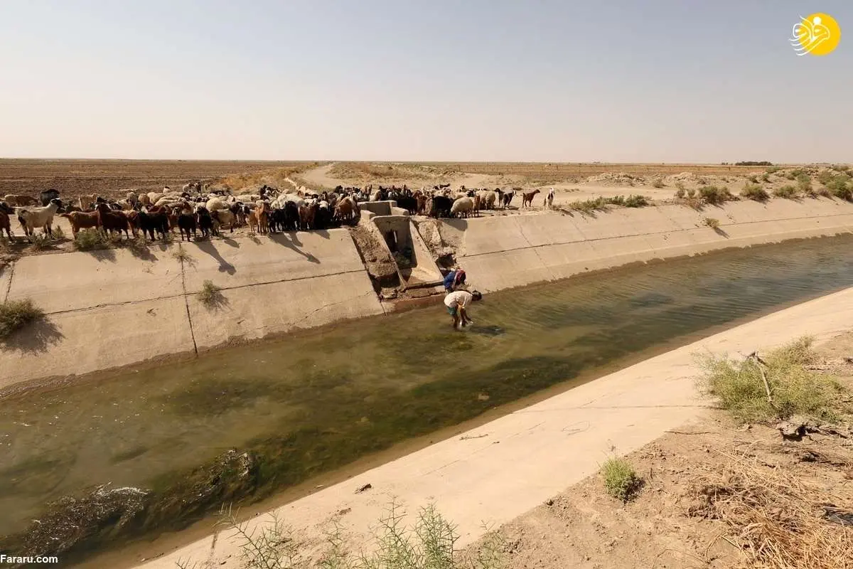 (تصاویر) هلال حاصلخیز خشک میشود!