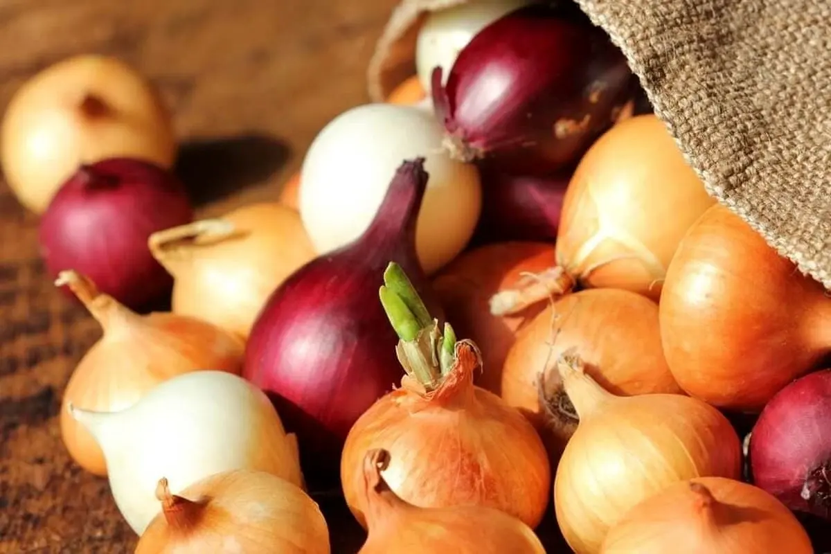 فواید بی‌نظیر پیاز خوردن