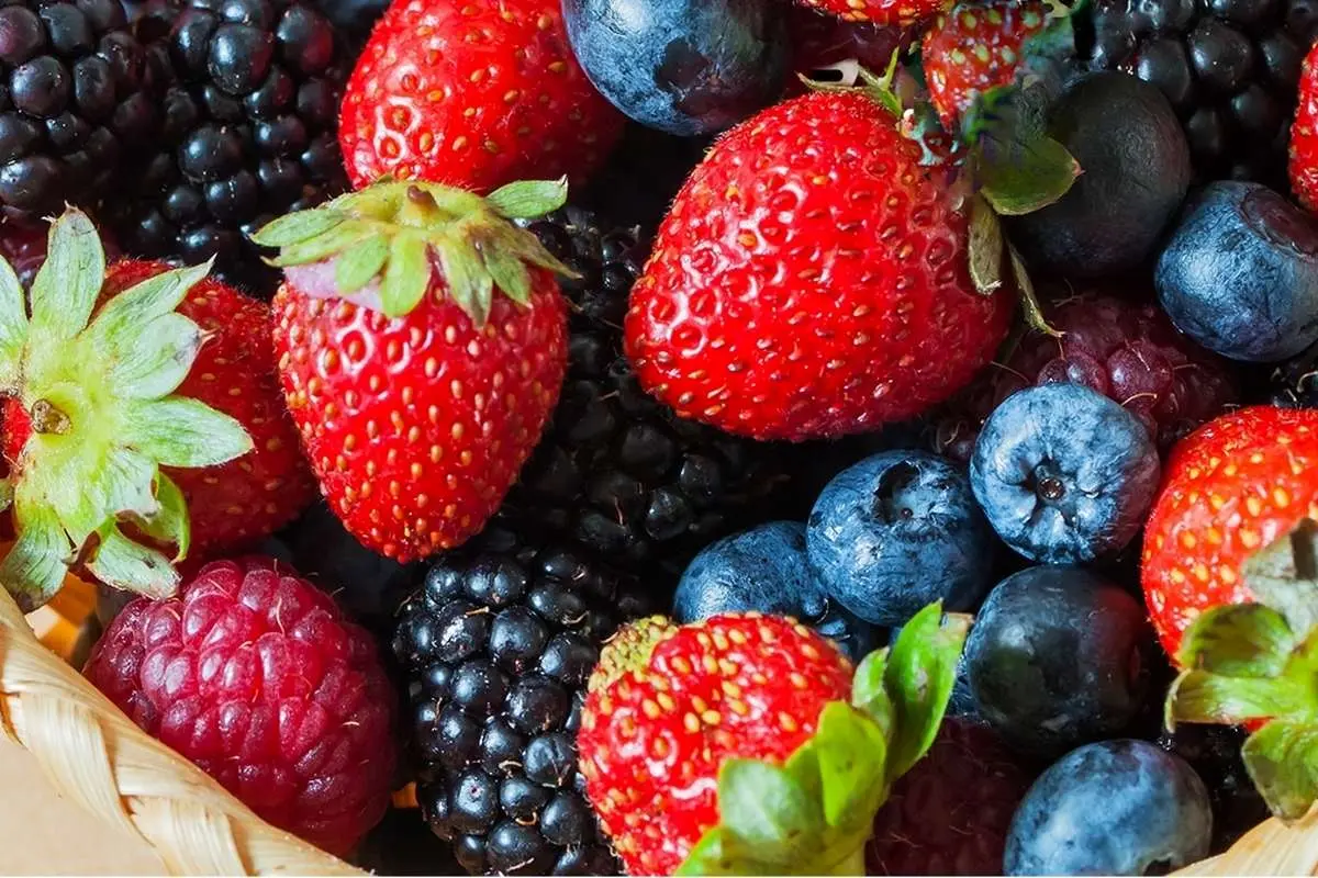 برای تقویت حافظه چه بخوریم؟
