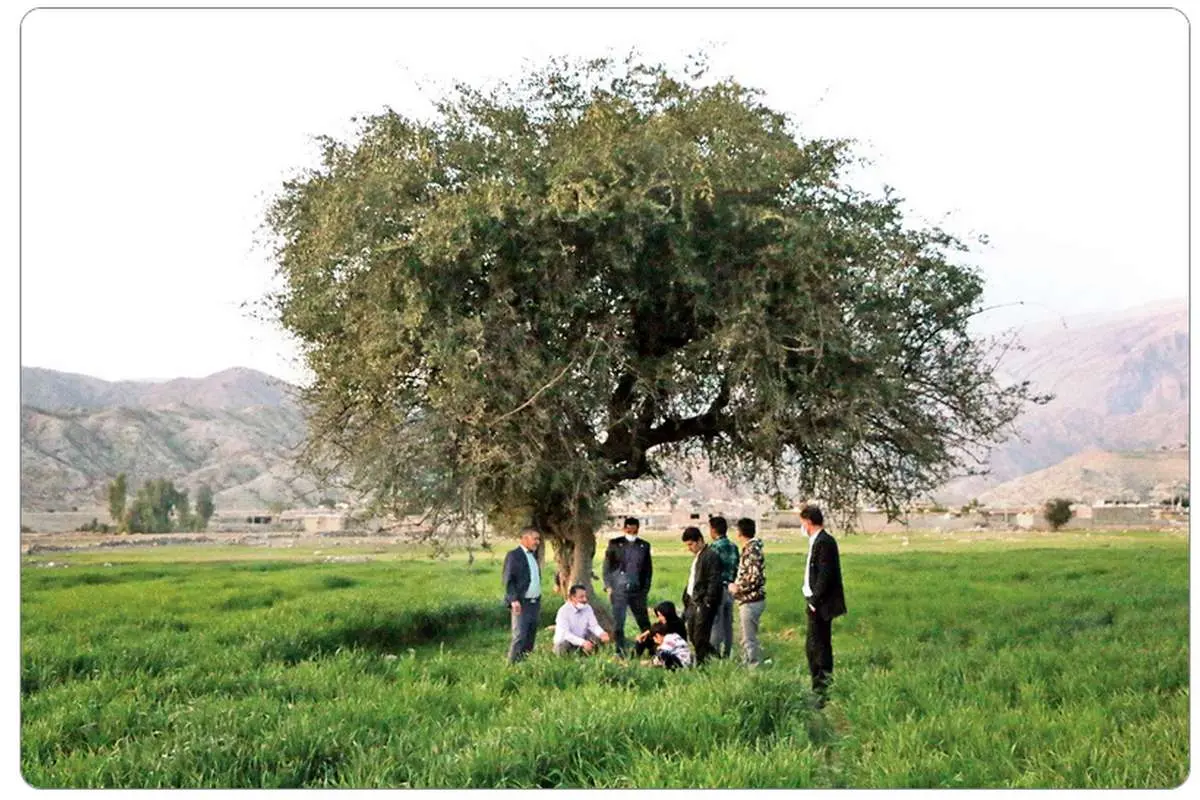 وضعیت روستای مال‌ملا دو سال پس از سقوط بورس؛ می‌خواهم قلبم را یک میلیارد تومان بفروشم!