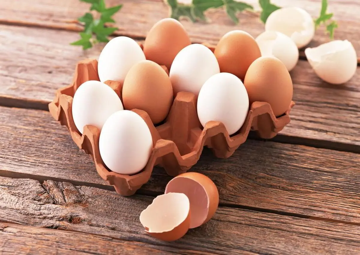 وجود لکه‌های خون در تخم مرغ نشانه چیست؟