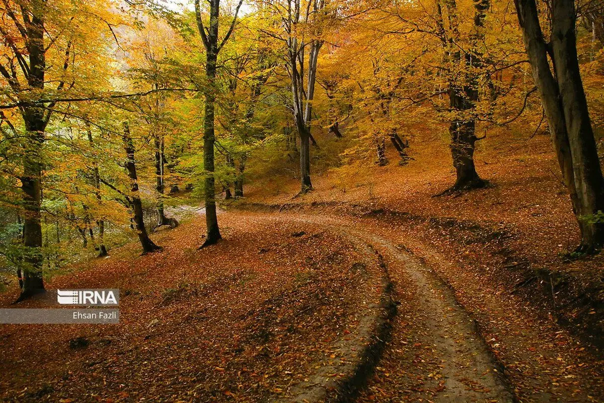 (تصاویر) شاهکار رنگ‌ها در مازندران