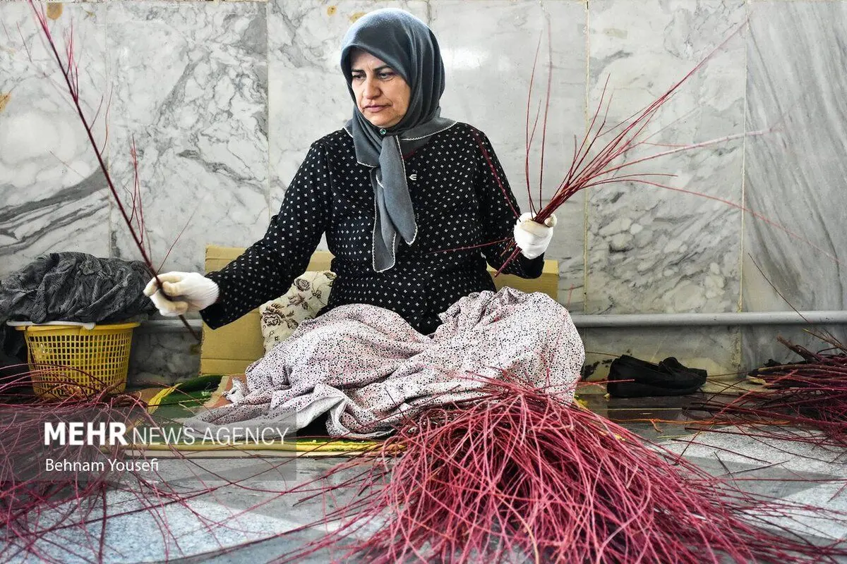 (تصاویر) بید سرخ محلات