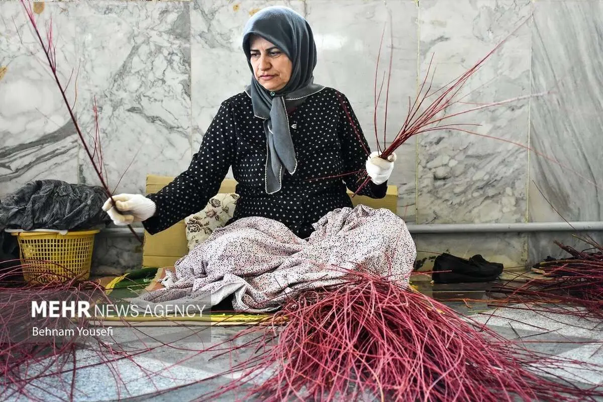 (تصاویر) بید سرخ محلات