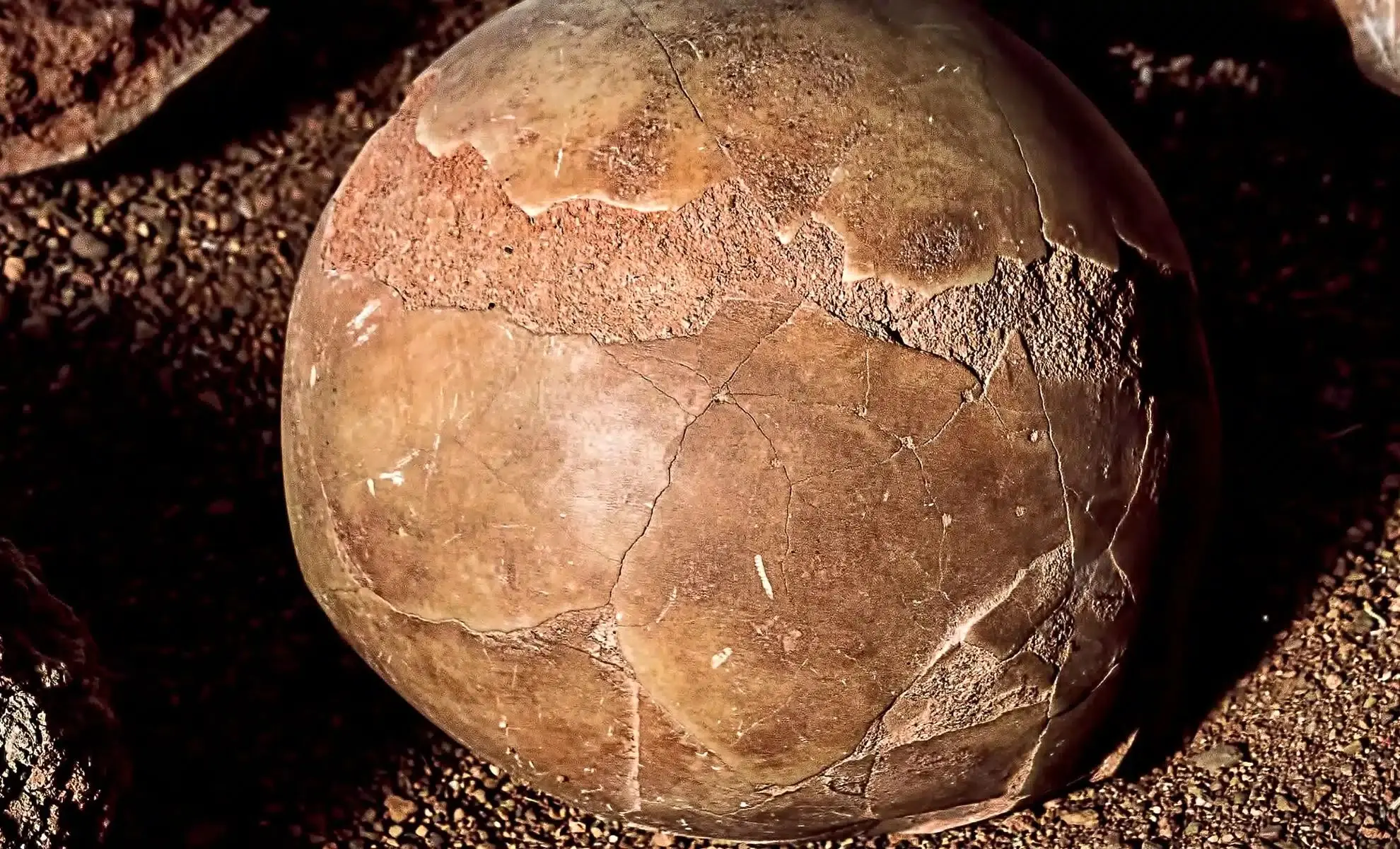 کشف تخم‌مرغ ۱۷۰۰ ساله‌ای که مایع داخلش هنوز سالم است!