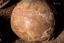 کشف تخم‌مرغ ۱۷۰۰ ساله‌ای که مایع داخلش هنوز سالم است!