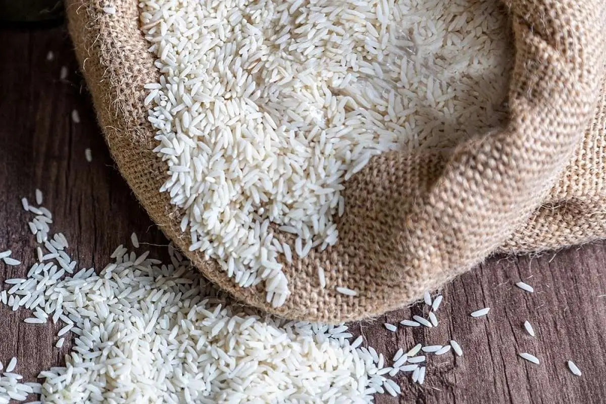 توزیع ۶۰ هزار تن برنج در کشور؛ قیمت در روزهای آینده کاهش می‌یابد؟
