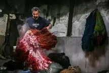 تصاویر؛ آخرین بازمانده رنگرزی گیاهی در کردستان