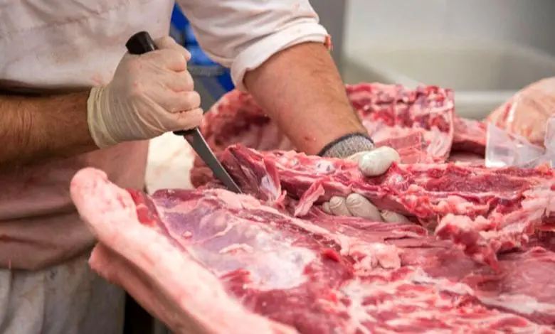 جزئیات تکان‌دهنده پرونده کشف ۳ تن گوشت الاغ در تهران