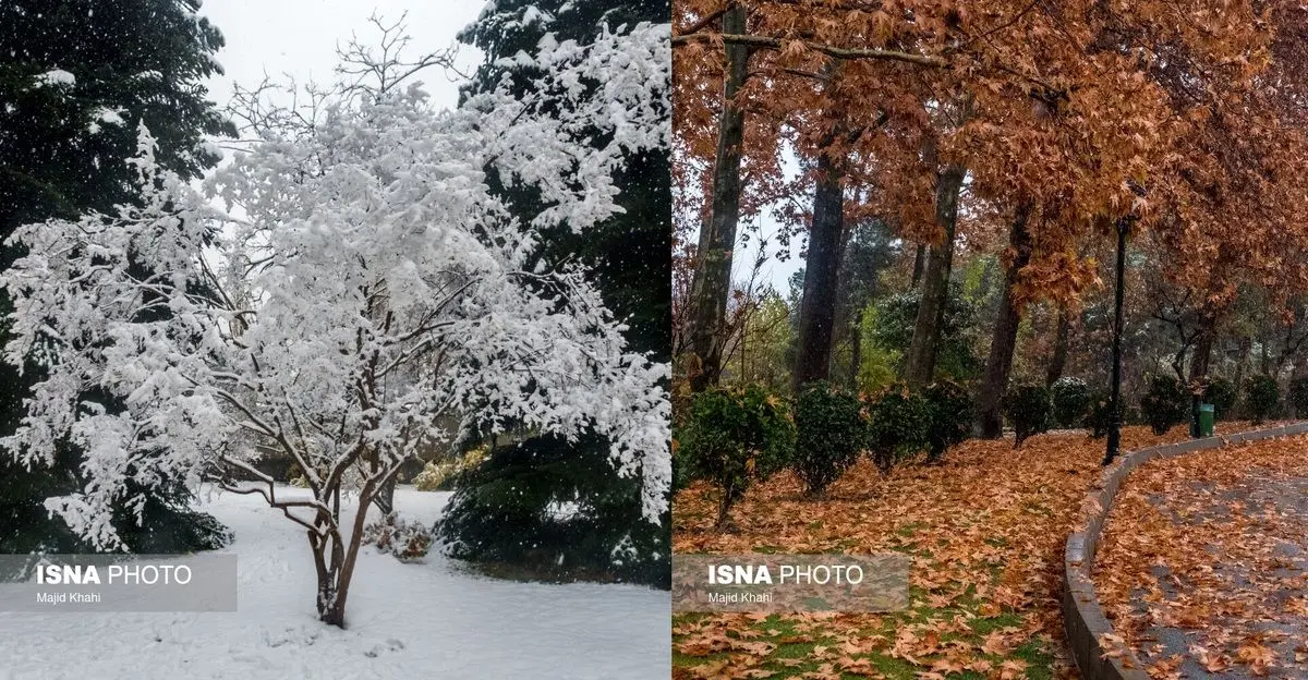 (تصاویر) تهران، غرق برگ و برف