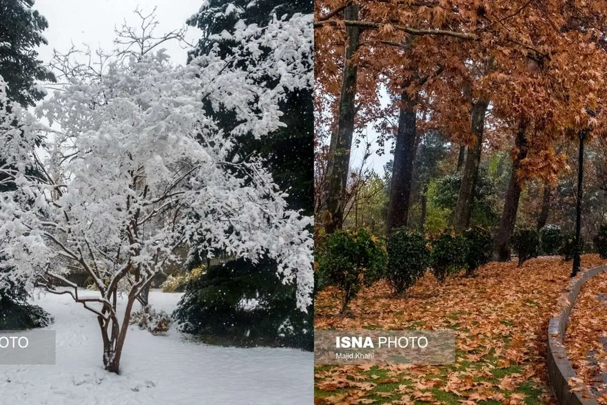 (تصاویر) تهران، غرق برگ و برف