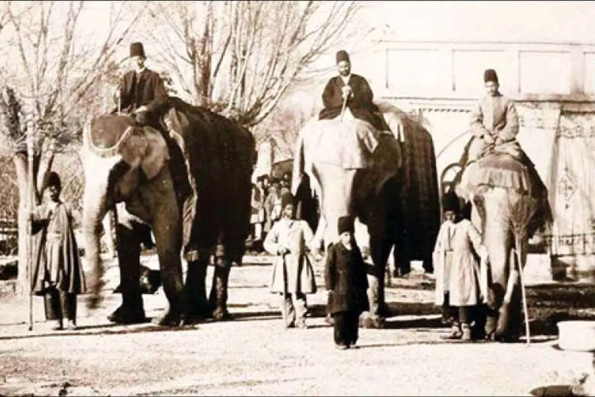 (ویدئو) داستان ساخت اولین باغ وحش ایران