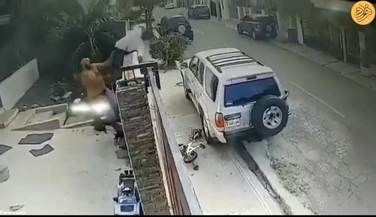 (ویدئو) دزد نگون‌بخت هنگام فرار گیر صاحبخانه غول پیکر افتاد!