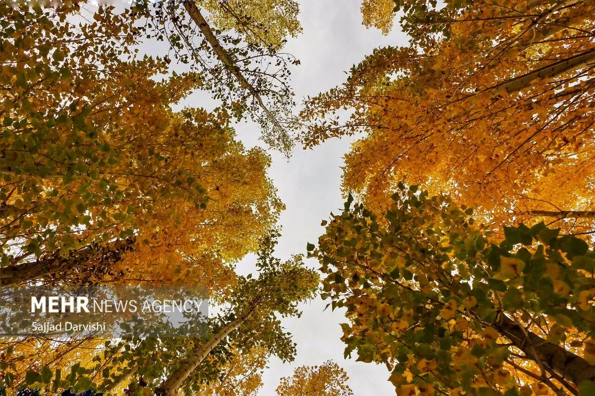 (تصاویر) طبیعت زیبای پاییزی لرستان