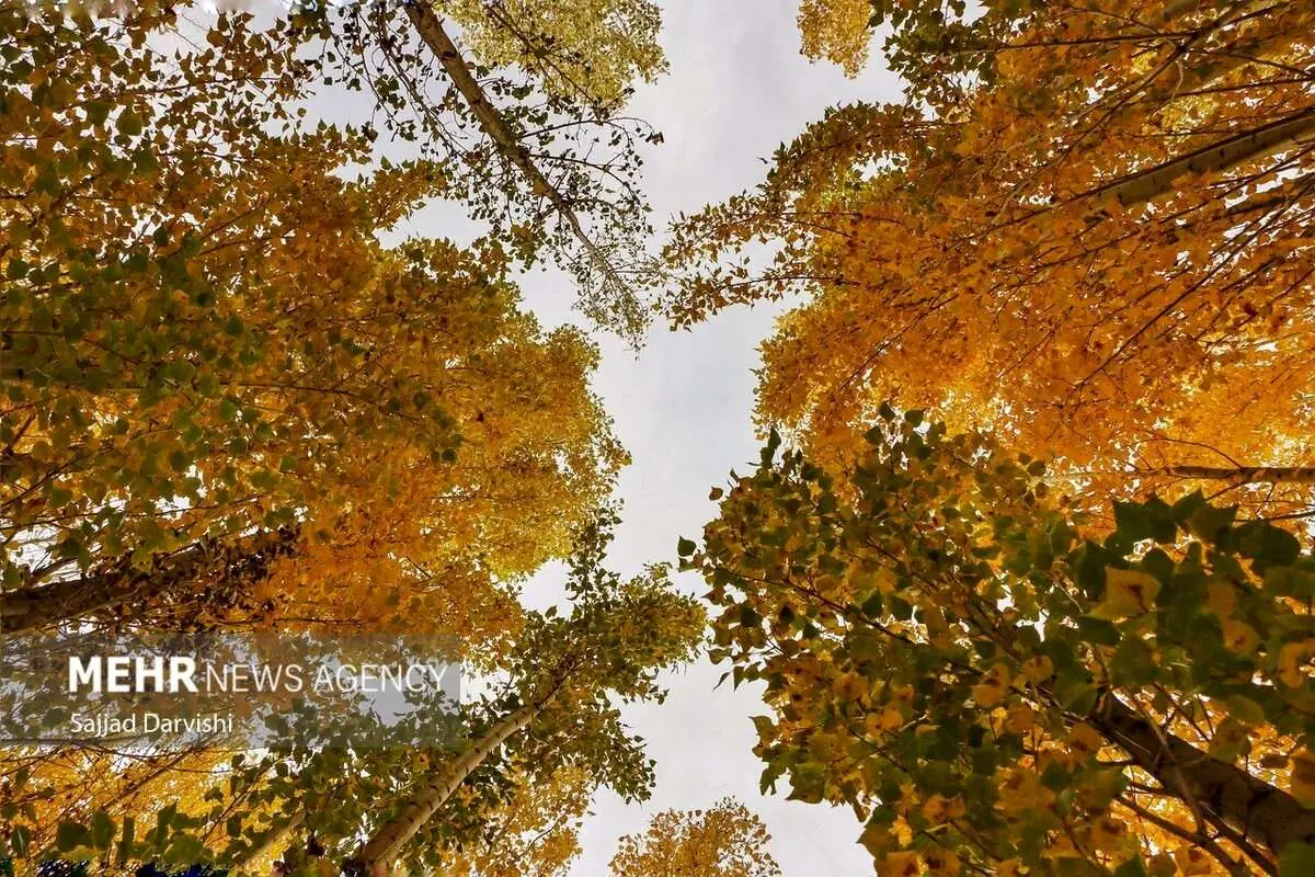 (تصاویر) طبیعت زیبای پاییزی لرستان