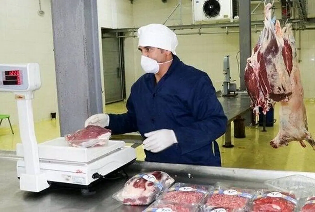 (جدول) انواع گوشت گوسفندی را چند بخریم؟