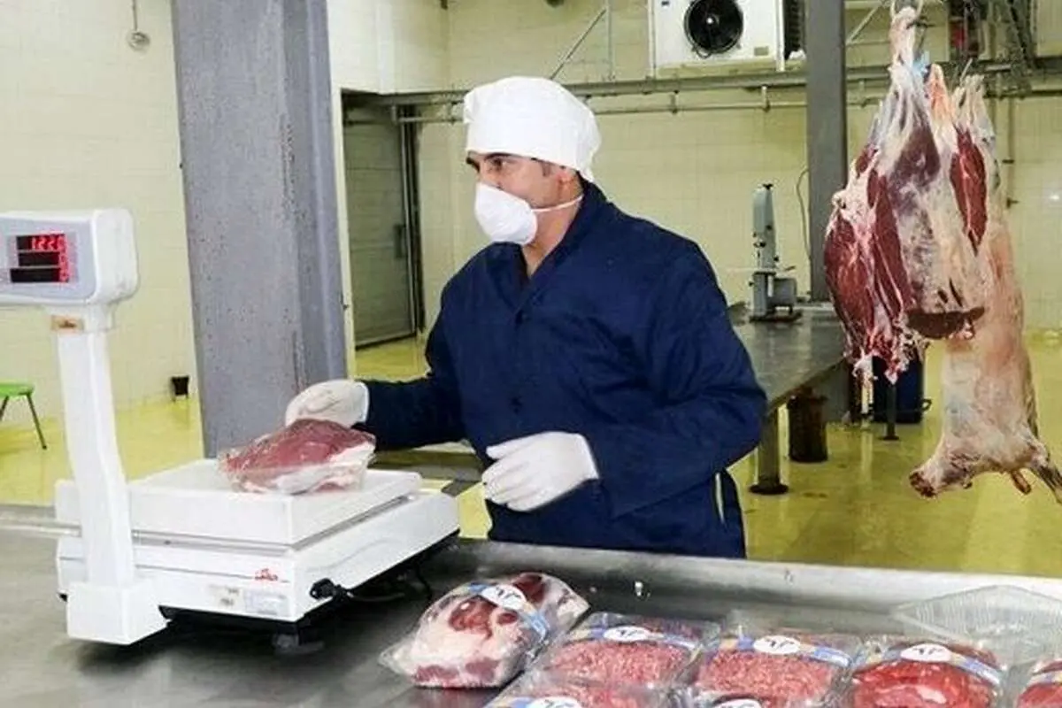(جدول) انواع گوشت گوسفندی را چند بخریم؟
