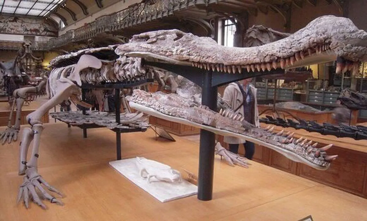 (تصاویر) از تمساح ۱۵ تنی تا حشرات غول‌پیکر؛ حیوانات باستانی چقدر ترسناک بودند؟