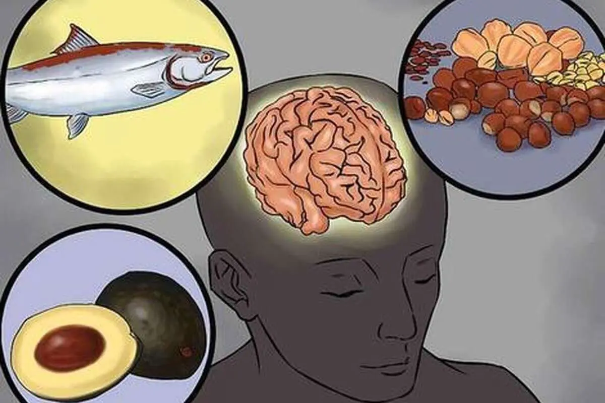 تاثیر غذاها در بهبود مشکلات حافظه و تمرکز