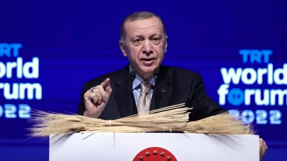 حمله اردوغان به بورل: حق نظر دادن نداری