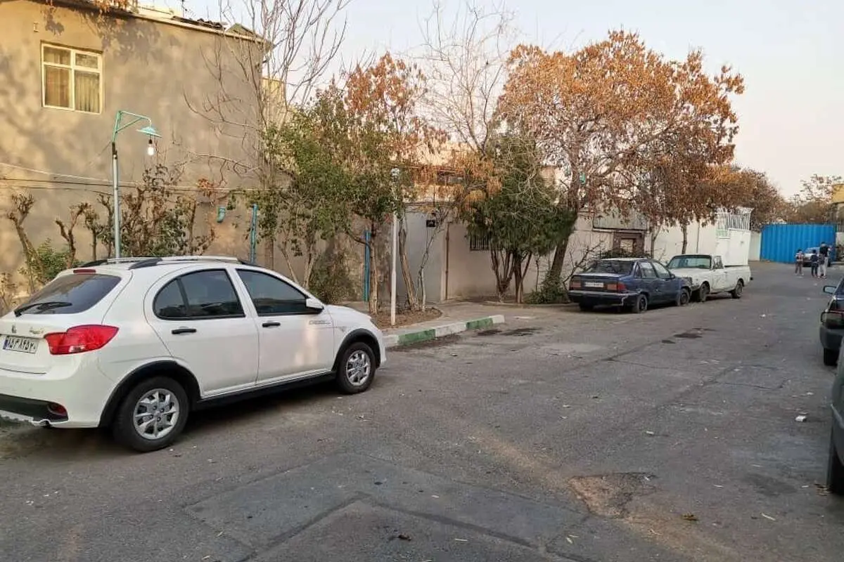 موشهای نروژی این محله از در خانهها تو میآیند!