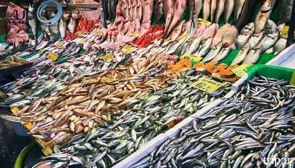فقط یک ماهی سفید به هر خریدار تهرانی فروخته می‌شود!