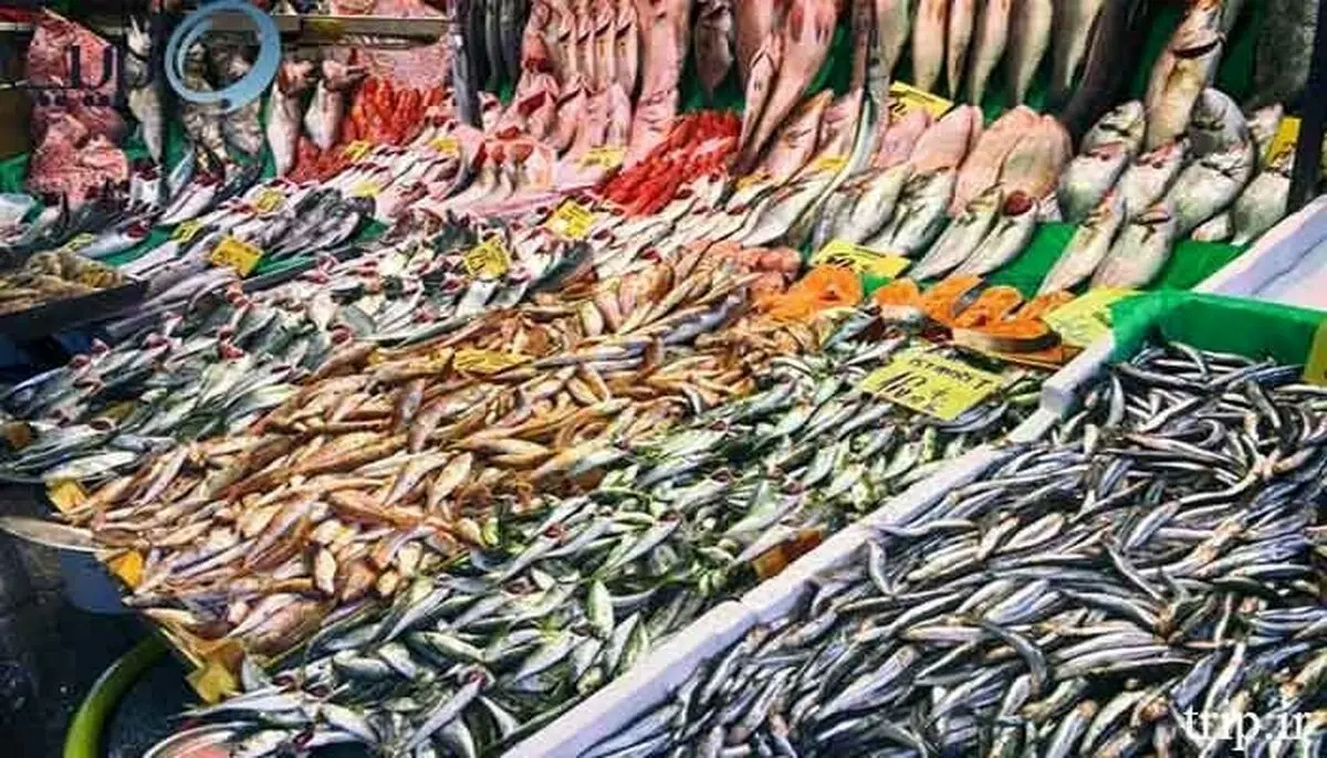 فقط یک ماهی سفید به هر خریدار تهرانی فروخته می‌شود!
