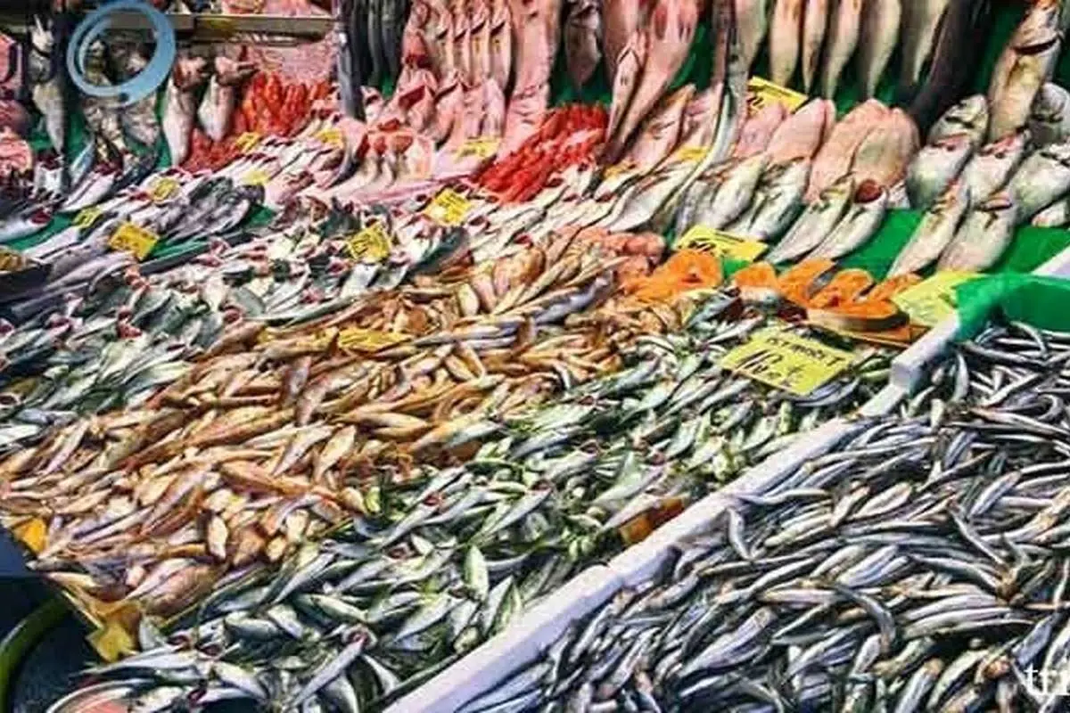 فقط یک ماهی سفید به هر خریدار تهرانی فروخته میشود!
